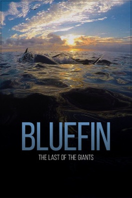 bluefin_poster-2.jpg