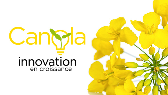 canola-innovation-en-croissance.jpg