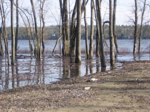 inondation_pontiac_2018.jpg