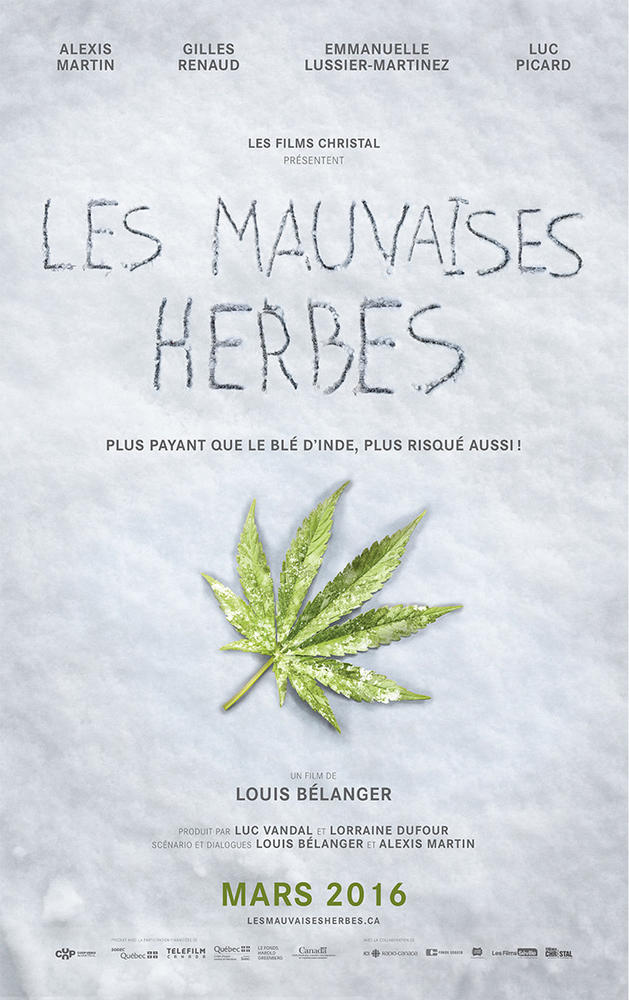 mauvaises_herbes.jpg