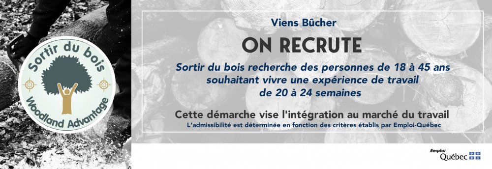 sortir-du-bois_recrutement.jpg