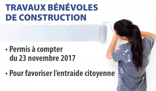 travaux_benevoles_construction.jpg